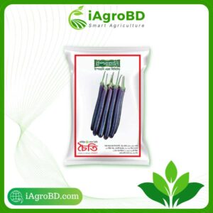 Chaiti hybrid Brinjal seed